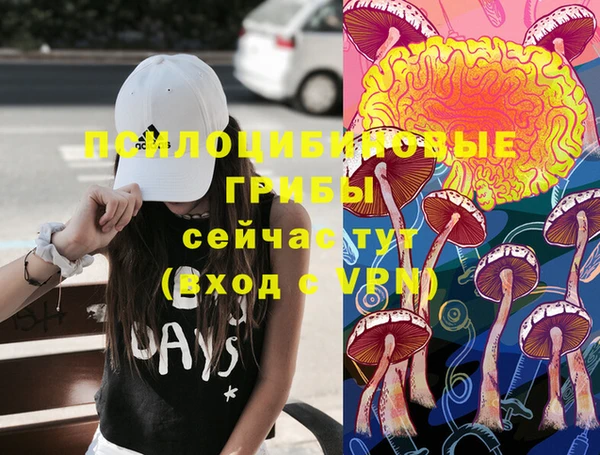 метамфетамин Белокуриха