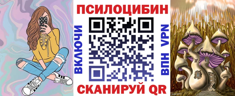 Псилоцибиновые грибы мицелий  Светлогорск 