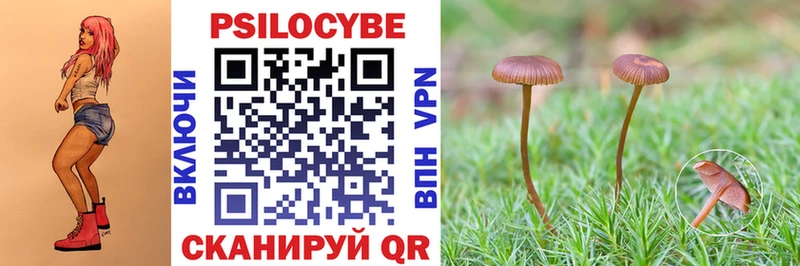Псилоцибиновые грибы GOLDEN TEACHER Светлогорск
