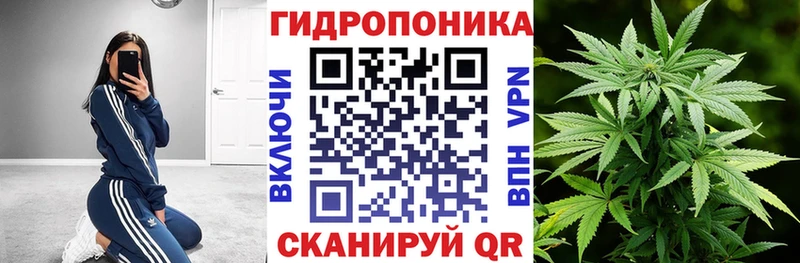 Конопля MAZAR omg вход Светлогорск